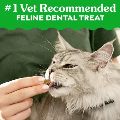 Greenies Feline Catnip Adult Cat Dental Treats 9.75-oz