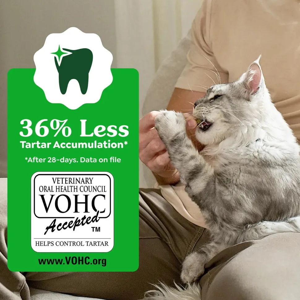 Greenies Feline Oven Roasted Chicken Adult Cat Dental Treats 9.75-oz