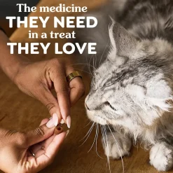 Greenies Feline Pill Pockets Cat Treats Salmon 1.6-oz 45 Count