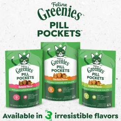 Greenies Feline Pill Pockets Cat Treats Chicken 1.6-oz 45 Count