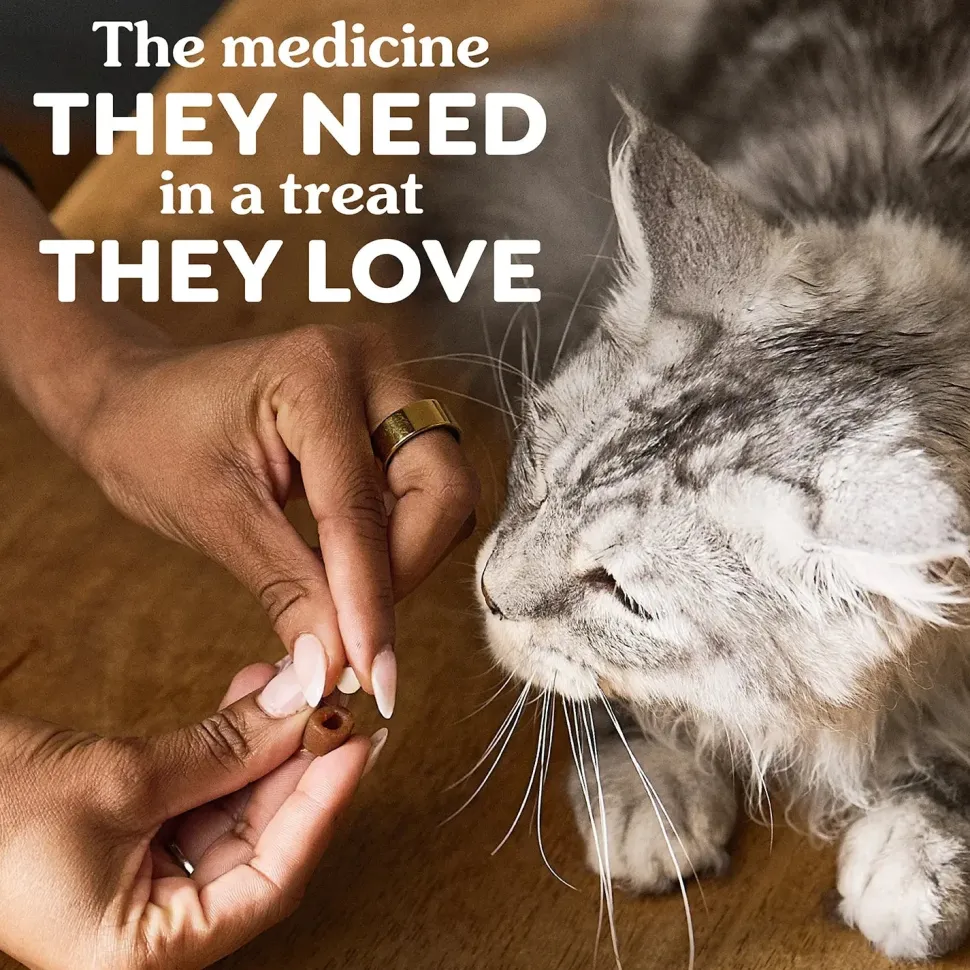 Greenies Feline Pill Pockets Cat Treats Catnip 1.6-oz 45 Count