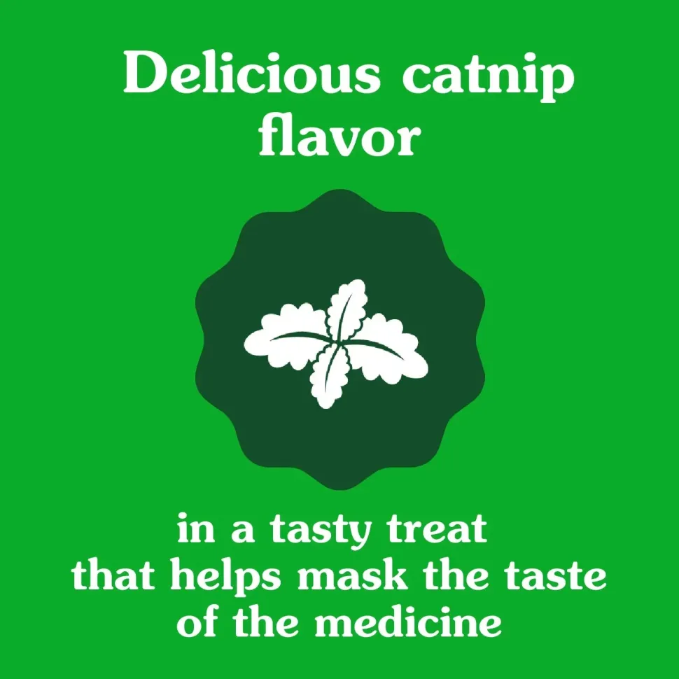 Greenies Feline Pill Pockets Cat Treats Catnip 1.6-oz 45 Count