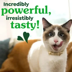 Greenies Feline Savory Salmon Adult Cat Dental Treats 2.1-oz
