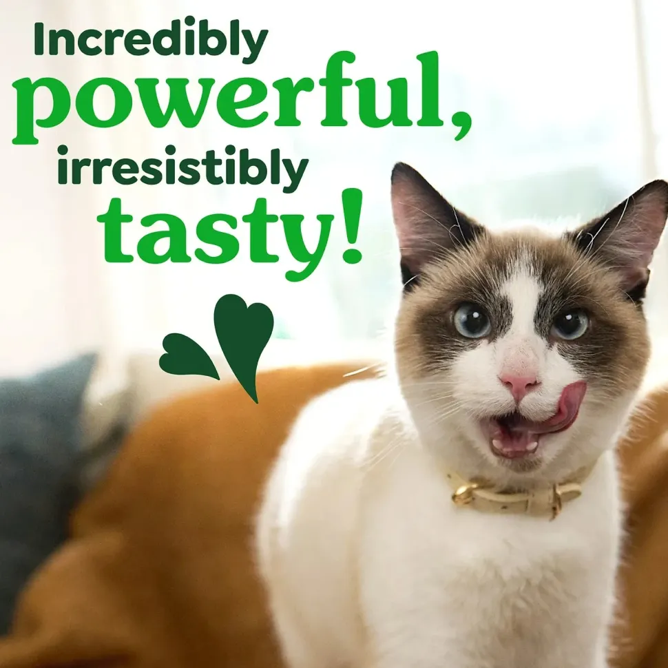 Greenies Feline Savory Salmon Adult Cat Dental Treats 9.75-oz