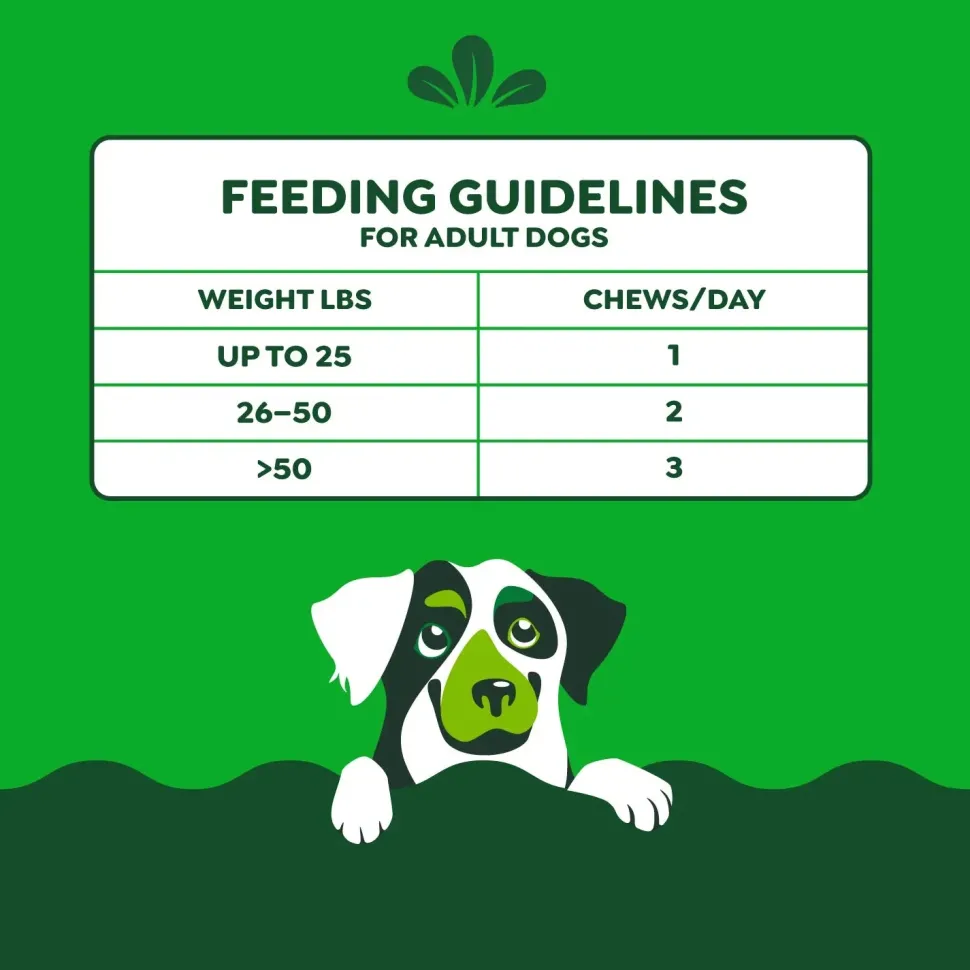 Greenies Hip & Joint Supplement Soft Chews for Adult Dogs Chicken Flavor 30 Count 6.08-oz