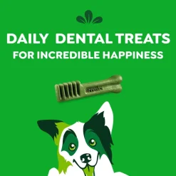 Greenies Original Dog Dental Treats Regular 12-oz 12 Count