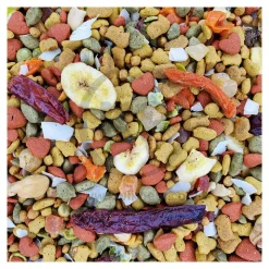 Higgins inTune Harmony Parrot & Large Bird Food 3-lb