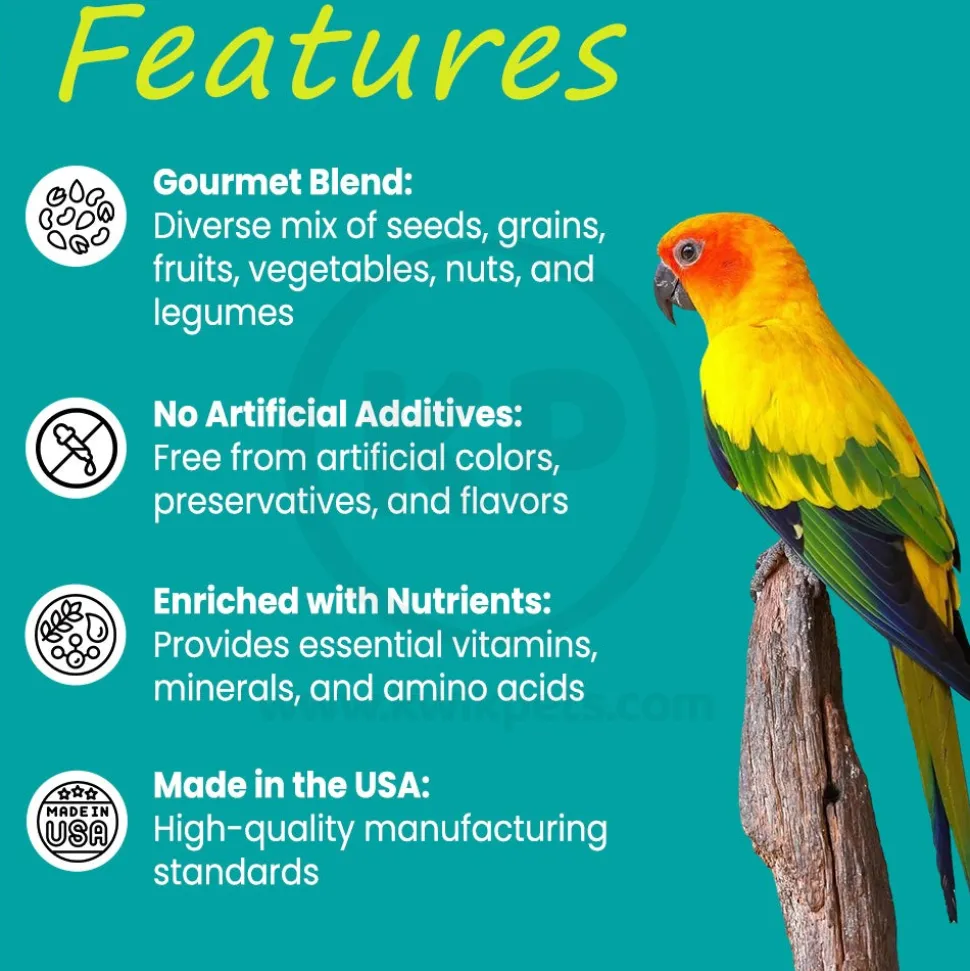 Higgins Sunburst Gourmet Blend Conure Bird Food 3-lb