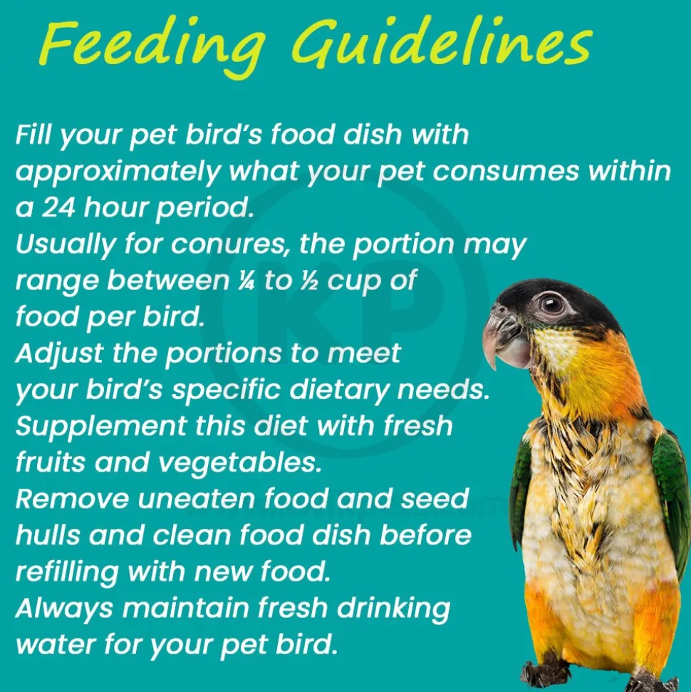 Higgins Sunburst Gourmet Blend Conure Bird Food 3-lb