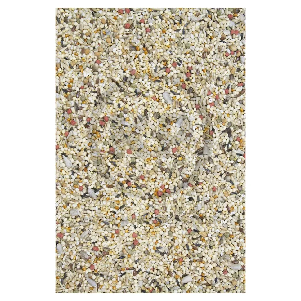 Higgins Vita Seed Finch Bird Food 5-lb
