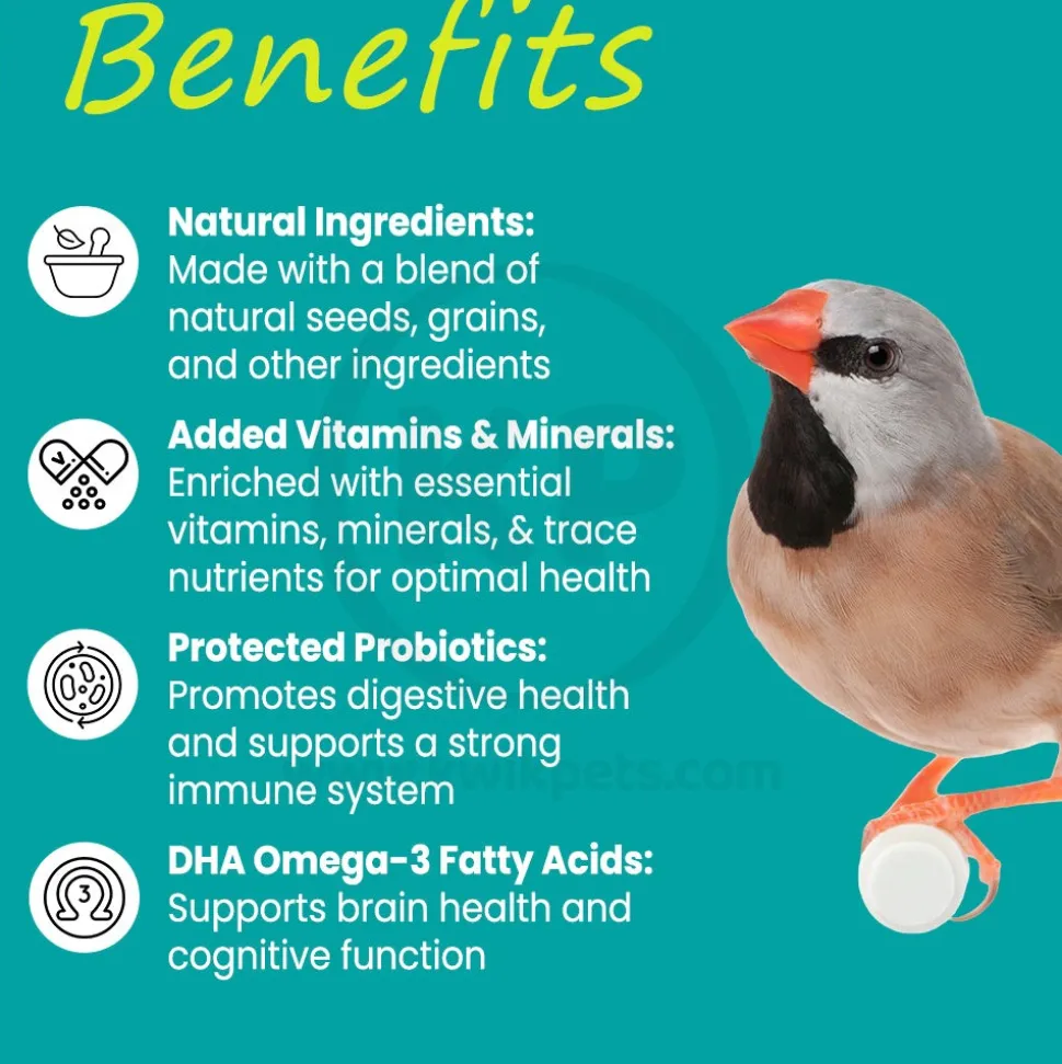 Higgins Vita Seed Finch Bird Food 5-lb