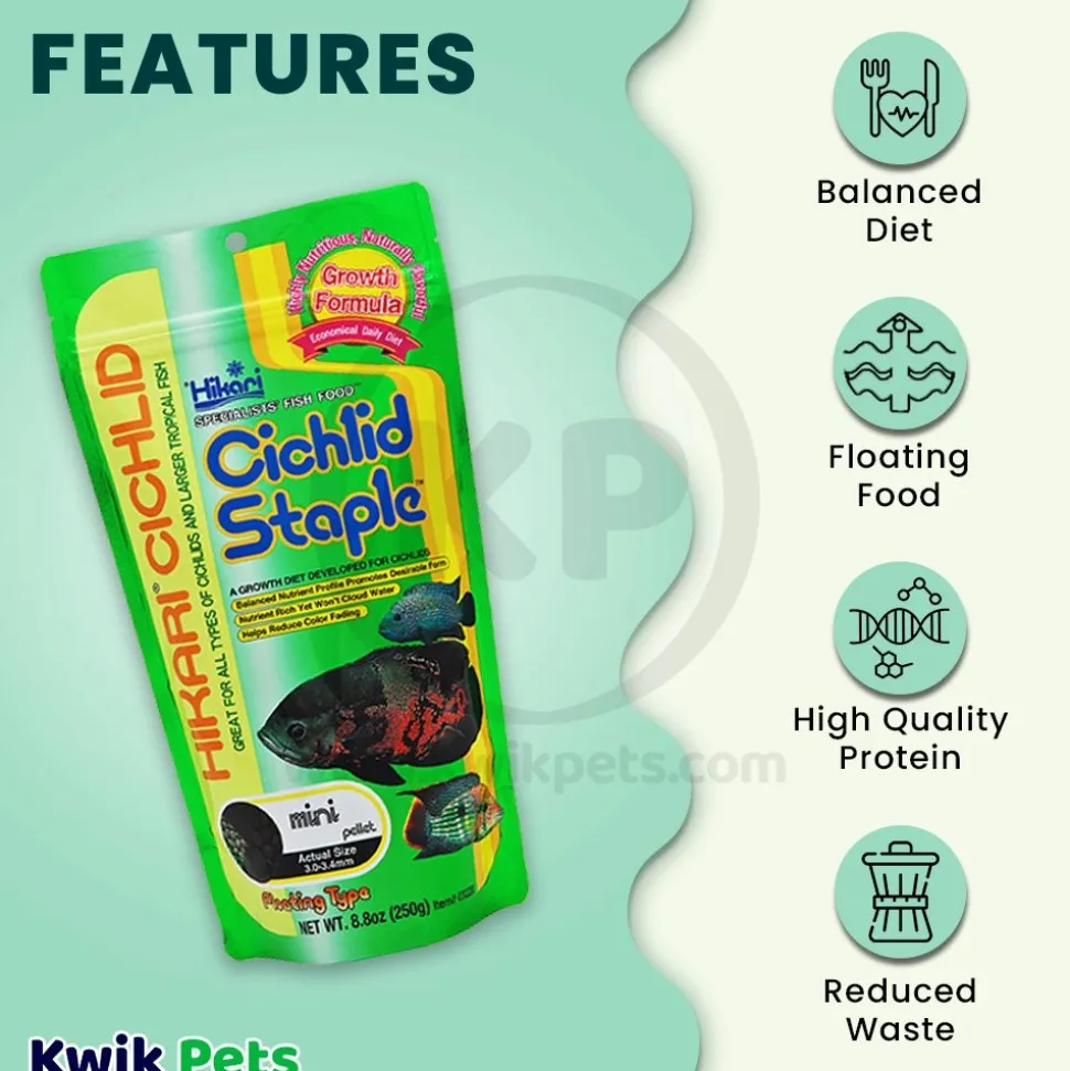 Hikari USA Cichlid Staple Floating Mini Pellets Fish Food 8.8-oz