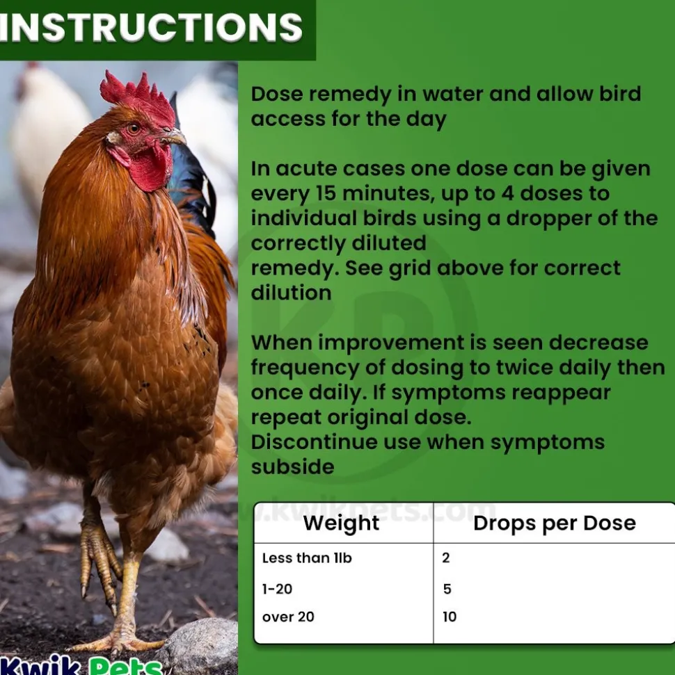HomeoPet Avian WRM Clear Dewormer for Birds 15-ml