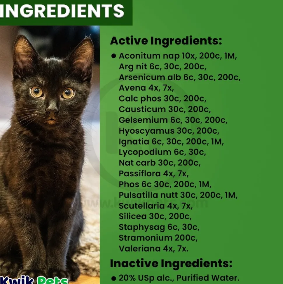 HomeoPet Feline Anxiety Relief Calming Supplement for Cats 15 ml
