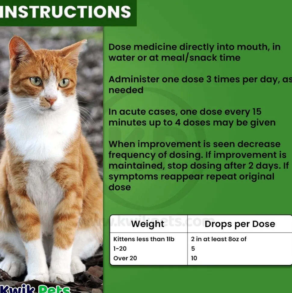 HomeoPet Feline Anxiety Relief Calming Supplement for Cats 15 ml