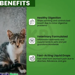 HomeoPet Feline Digestive Upsets Supplement 15 ml