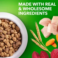 IAMS Healthy Weight Adult Dry Dog Food Chicken 7-lb