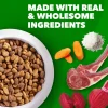 IAMS Minichunks Adult Dry Dog Food Lamb & Rice 30-lb