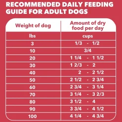 IAMS Minichunks Adult Dry Dog Food Lamb & Rice 30-lb