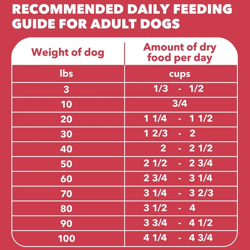 IAMS Minichunks Adult Dry Dog Food Lamb & Rice 30-lb