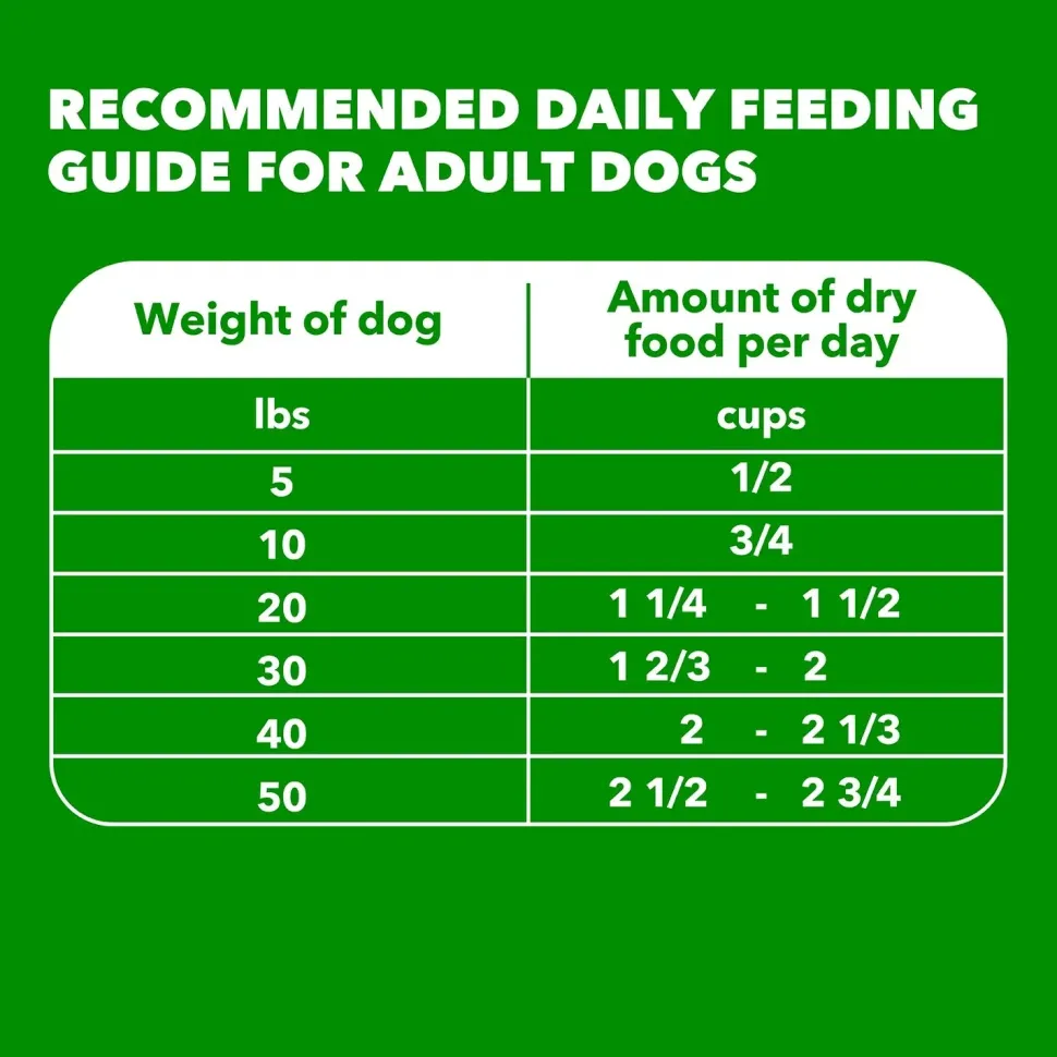 IAMS Minichunks Small Kibble High Protein Adult Dry Dog Food Real Chicken 7-lb