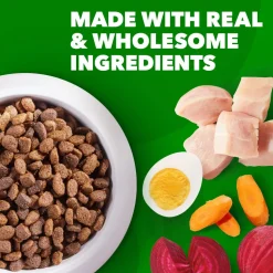 IAMS Minichunks Small Kibble High Protein Adult Dry Dog Food Real Chicken 7-lb