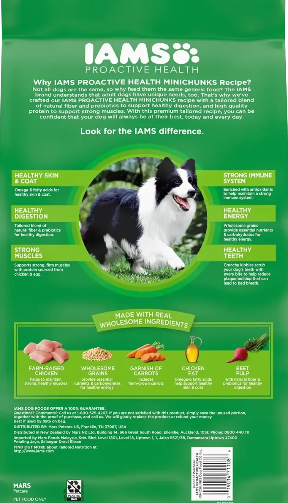 IAMS Minichunks Small Kibble High Protein Adult Dry Dog Food Real Chicken 7-lb