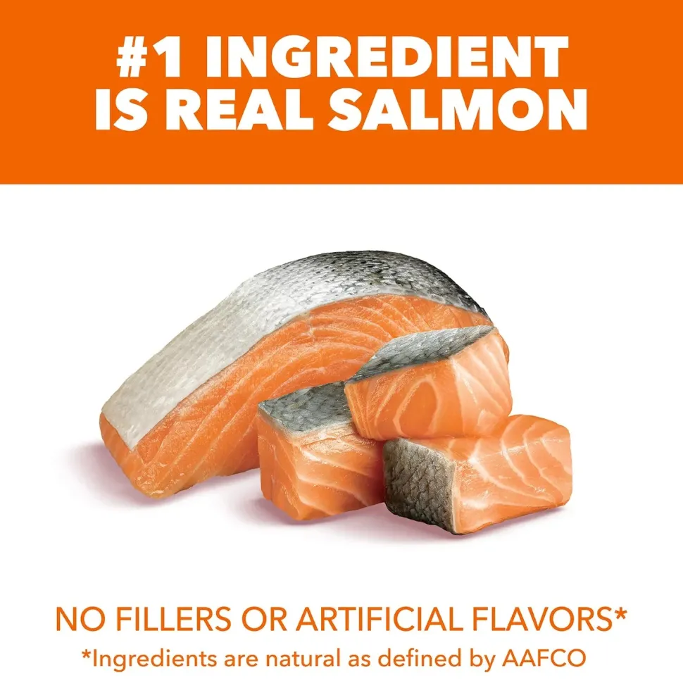 IAMS Proactive Health Adult Dry Cat Food Salmon 7-lb