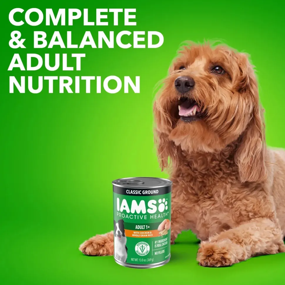 IAMS Proactive Health Adult Wet Dog Food Pate with Chicken & Rice 13.2-oz