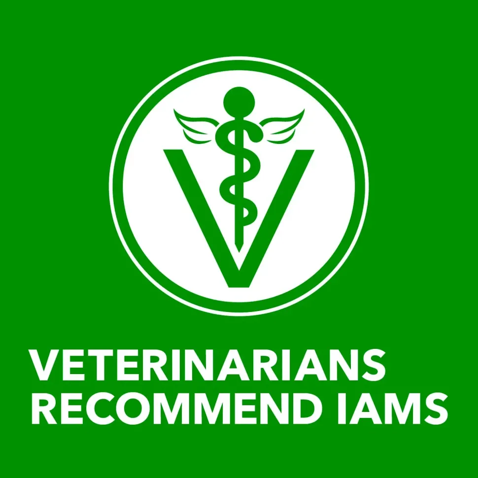 IAMS Proactive Health Adult Wet Dog Food Pate with Chicken & Rice 13.2-oz