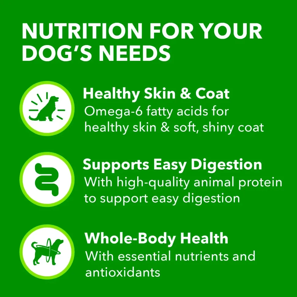 IAMS Proactive Health Adult Wet Dog Food Pate with Lamb & Rice 6 Count 13-oz