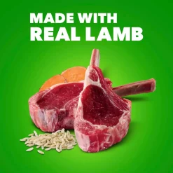 IAMS Proactive Health Adult Wet Dog Food Pate with Lamb & Rice 6 Count 13-oz