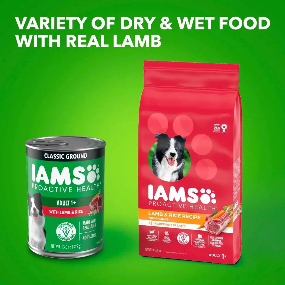 IAMS Proactive Health Adult Wet Dog Food Pate with Lamb & Rice 6 Count 13-oz