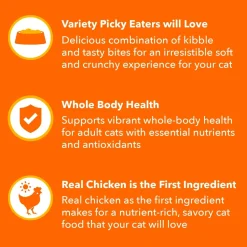 IAMS ProActive Health Healthy Enjoyment Adult Dry Cat Food Chicken & Salmon 6-lb