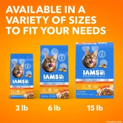 IAMS ProActive Health Healthy Enjoyment Adult Dry Cat Food Chicken & Salmon 3-lb
