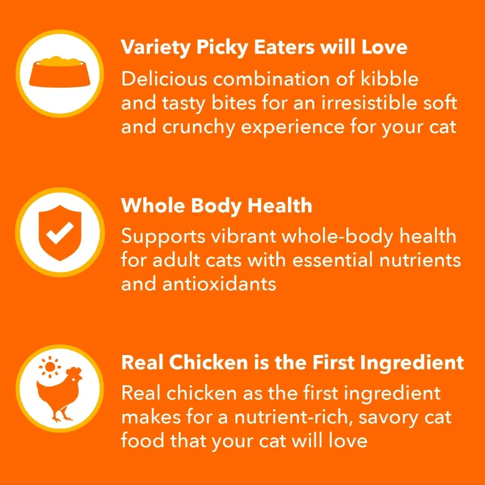 IAMS ProActive Health Healthy Enjoyment Adult Dry Cat Food Chicken & Salmon 3-lb