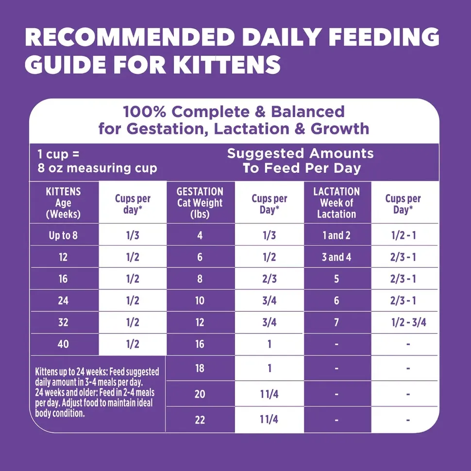 IAMS Proactive Health Kitten Dry Cat Food Chicken 7-lb