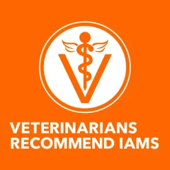 IAMS Proactive Health Senior Dry Cat Food Chicken 16-lb