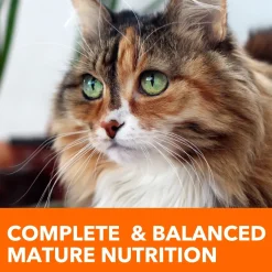 IAMS Proactive Health Senior Dry Cat Food Chicken 16-lb