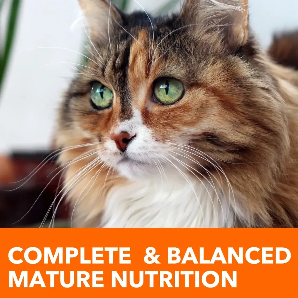 IAMS Proactive Health Senior Dry Cat Food Chicken 16-lb