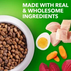 IAMS Proactive Health Smart Puppy Dry Dog Food Real Chicken 7-lb