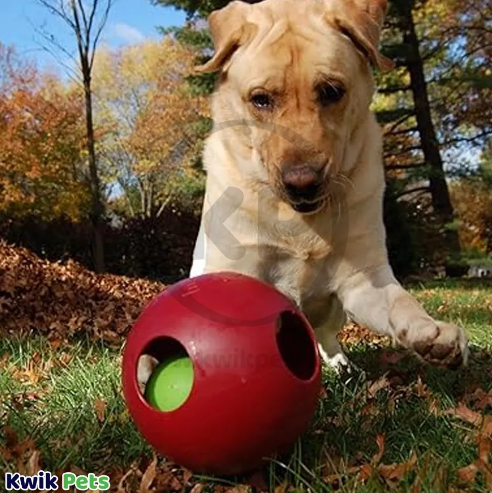 Jolly Pet Teaser Ball Dog Toy Red Large 8-in