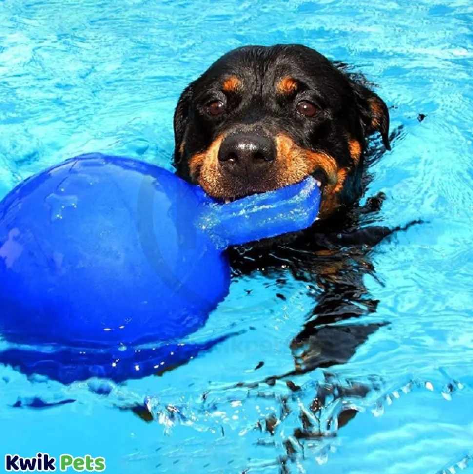 Jolly Pet Tug-n-Toss Mini Dog Toy Blue Small 3-in