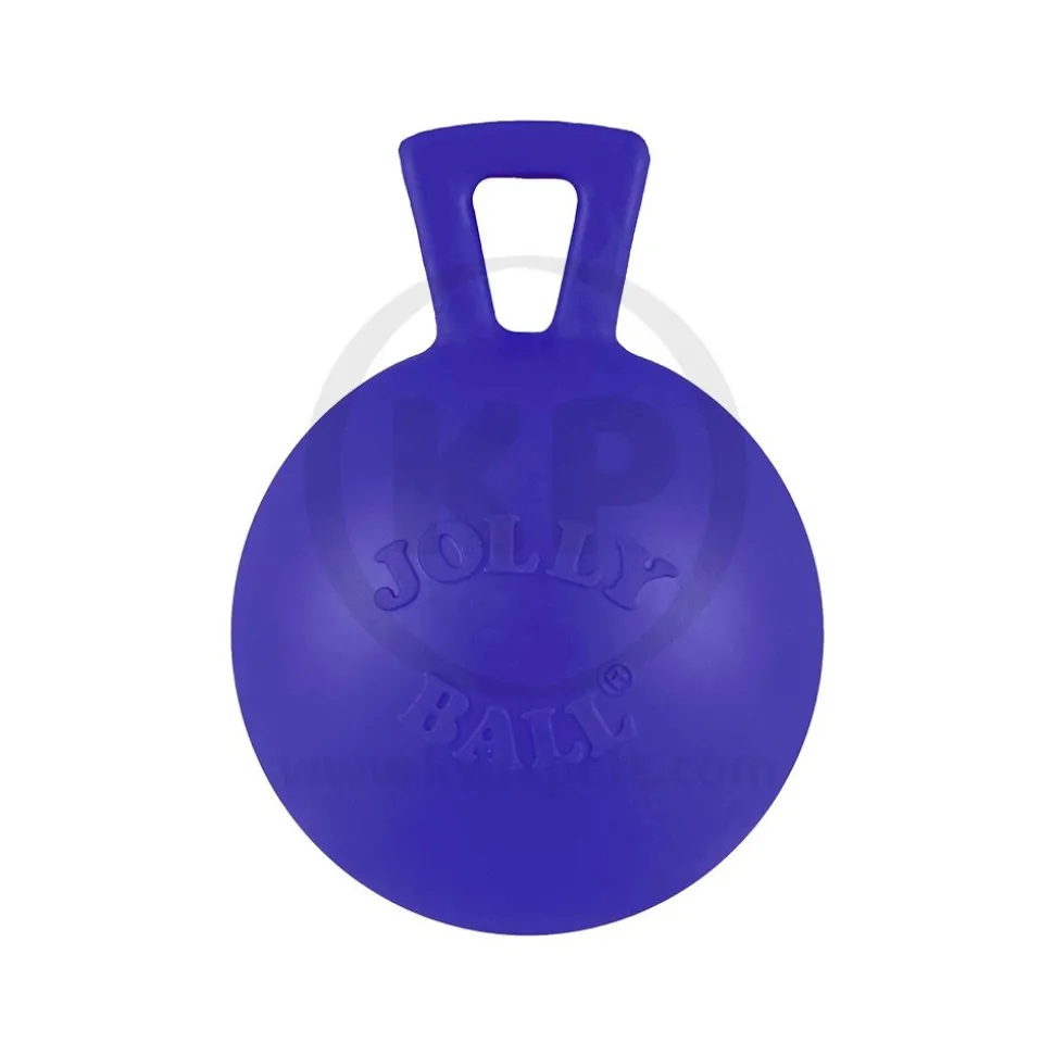 Jolly Pet Tug-n-Toss Mini Dog Toy Blue Small 3-in