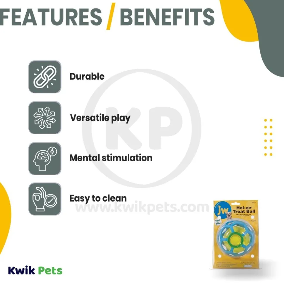 JW Pet Hol-ee Treat Ball Dog Toy