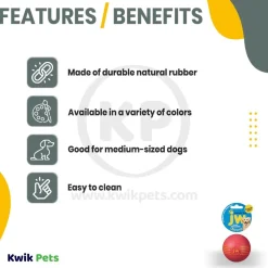 JW Pet iSqueak Ball Dog Toy Assorted Medium