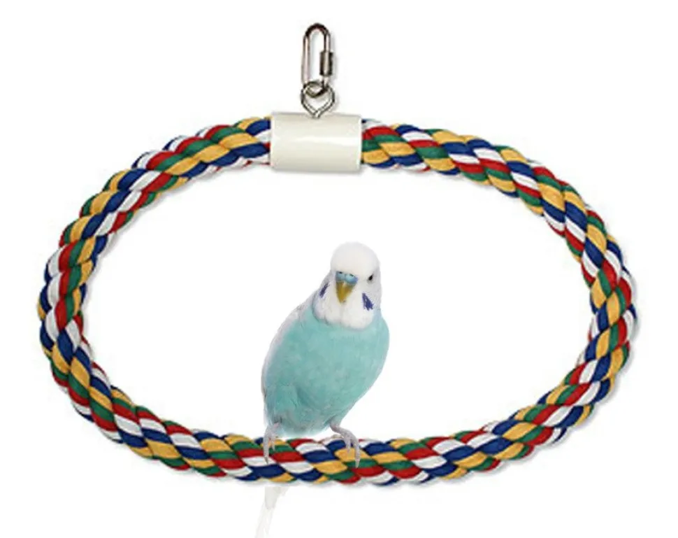 JW Pet Swing N Perch Ring Bird Toy Multicolor Medium