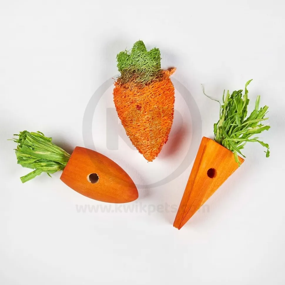 Kaytee Carrot Patch Chew Toy for Rabbits, Guinea Pigs & Chinchillas 3 Count