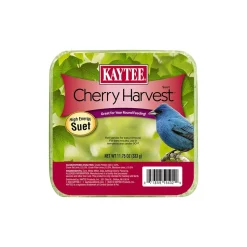 Kaytee Cherry Harvest High Energy Wild Bird Suet 11.75-oz