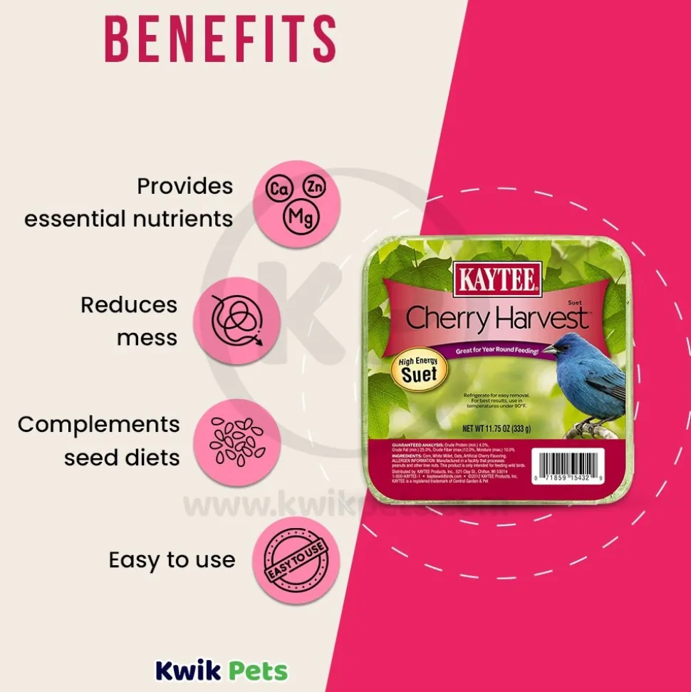 Kaytee Cherry Harvest High Energy Wild Bird Suet 11.75-oz